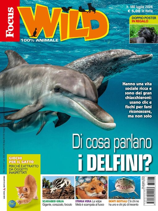 Cover image for Focus Wild 